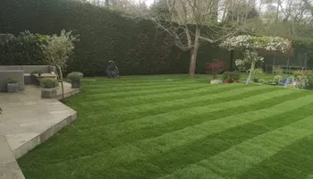 High Quality, New Stripy Lawn
